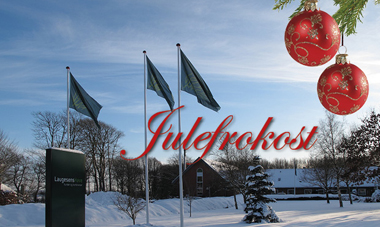 Julefrokost-foto-380x227_75dpi