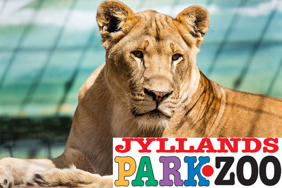 jyllands park zoo01 569x379px