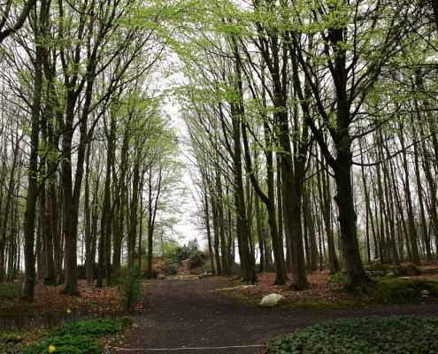 parken 12