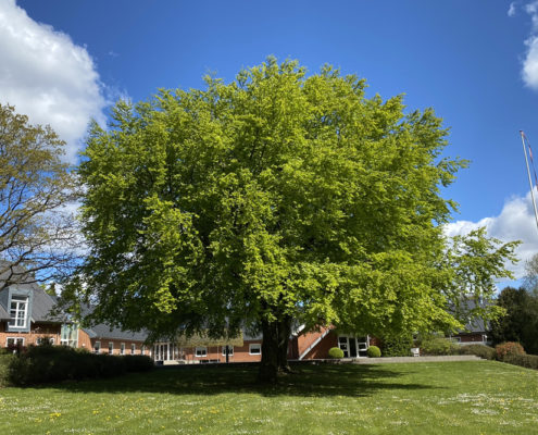 parken galleri01 1000x667